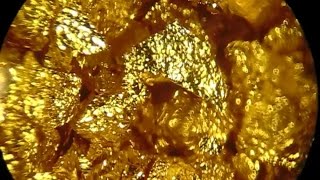 Gold Flakes Under Stereo Microscope 10x120x [upl. by Emily]