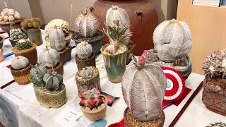 Cactus Show at The Huntington Library [upl. by Ellekcim]