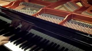 NORDISKA BABY GRAND PIANO SD [upl. by Asiil90]