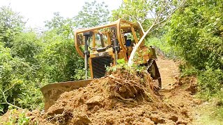 The Power of the Bulldozer How Skilled Operators Build Effective Roads on Plantations [upl. by Ramos]