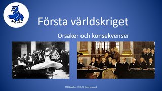 Orsaker till Första världskriget [upl. by Oicneconi]