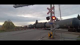 Tuesday Morning Catches CN Railfanning At Mainway DriveMP 46 On The Halton Sub In Burlington ON [upl. by Eisset]