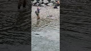 I really caught a huge salmonI ❤️ salmon fishing Vedder river Canada 🇨🇦 11 [upl. by Lexi894]