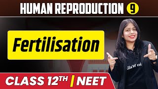 Human Reproduction 09  Fertilisation  Class 12thNEET [upl. by Cargian]