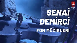 Senai Demirci quotFON MÜZİKLERİquot  21 Enstrümantal [upl. by Yadrahc]