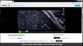 How to download video from Vimeo online [upl. by Anilave]