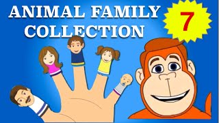 Finger Family Collection  7 Animal Finger Family Songs  Daddy Finger Nursery Rhymes [upl. by Diella]