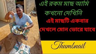 এই রকম মাছ আমি কখনও দেখিনি trender youtubeshorts shortshorts viralvedio [upl. by Smoht]