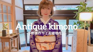 【着物】アンティークのお着物と冬野菜作り着物 kimono 着物生活 [upl. by Kliber]