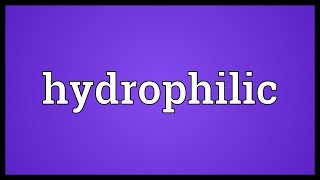 Hydrophilic Meaning [upl. by Ellehcor]