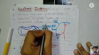 Synaptic transmission 2chart of EPSP and IPSP Types of Inhibition in synapse [upl. by Ilzel279]