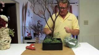 Manzanita Branch Centerpieces HowTo 1 [upl. by Wesla]