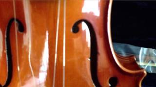 Saga Cremona Cervini HV300 Violin Unboxing amp Inspection [upl. by Otilesoj]