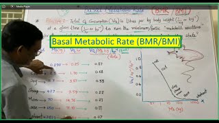 Basal Metabolic Rate BMRBMI [upl. by Cointon]