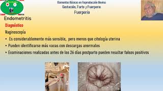 Enfermedades Puerperales Parte 2 Endometritis Bovina [upl. by Einnob]