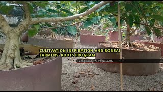 Inspiration For Beginners Cultivating Bonsai Materials And Root Programs [upl. by Avilys360]