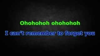 Shakira ft Rihanna  Cant Remember To Forget You KaraokeInstrumental with lyrics [upl. by Nace]