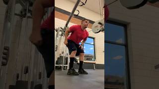 Featured Exercise Cable Tricep Kickbacks [upl. by Akinat552]