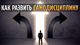 Как развить самодисциплину [upl. by Nwahsir]