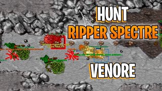 Tibia EK SOLO Ripper Spectres Venore [upl. by Adekahs]