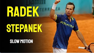 Radek Stepanek Slow Motion [upl. by Arimas223]