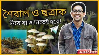 শৈবাল ও ছত্রাক HSC  শৈবাল ও ছত্রাক Admission  HSC Biology 1st Paper Chapter 5  Biology Adda [upl. by Harcourt964]