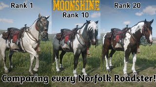 Which Norfolk Roadster is the bestRDR2 Online [upl. by Alegnaoj]