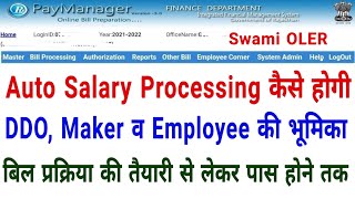 Auto Salary Processing All Step । for DDO Maker and Employee  Paymanager Bill [upl. by Neehcas283]