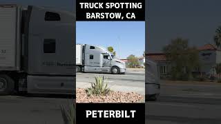 TRUCK SPOTTING 00815  PETERBILT trucking semitrailer peterbilt [upl. by Legna]