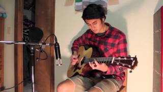 Krewella  Alive Acoustic Version Cover by Cole Kawika [upl. by Elocim]