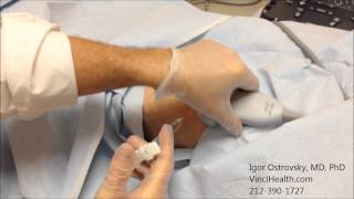 Hyaluronic Acid Injection to the Knee Joint 1 [upl. by Chader644]