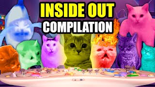 CAT MEMES CATs IN INSIDE OUT COMPILATION [upl. by Terrab158]