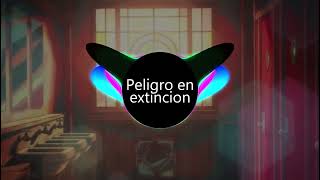 Peligro en extincion Dj Chyky Paul Version Cumbia Swing Criollo Guacharaca Sonidera Wepa [upl. by Tada]