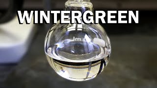 Making Wintergreen a minty odor and flavoring [upl. by Ynnep860]