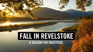 Fall In Revelstoke A season for gratitude [upl. by Mussman]