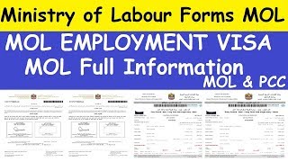 What is MOL Form l MOL Information About Employment Visa l Ministry of Labour Forms [upl. by Jerrilee332]