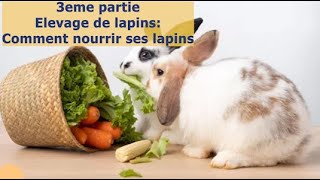 Elevage de lapins Comment nourrir ses lapins 🥰👍💕🙌 [upl. by Alimaj]