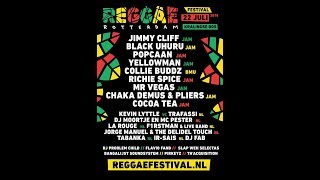 Charly Black  Hoist And Wine  Reggae Rotterdam Festival 2018 [upl. by Bryna]