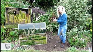 How to grow Eremurus Foxtail Lily bulbstubers  FarmerGracycouk [upl. by Patrich]