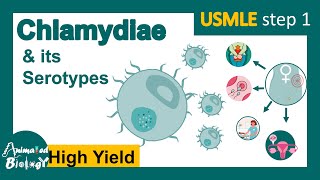 Chlamydia trachomatis and its serotypes  Trachoma  neonatal keratoconjunctivitis  USMLE [upl. by Ahtis]