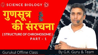 गुणसूत्र की संरचना  Structure of Chromosome  Part  1 Science Biology Gurukul By GK Guru amp Team [upl. by Haroppiz]