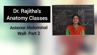 Anatomy of Anterior abdominal wall muscles by DrRajitha Vanga [upl. by Parlin]