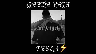 GAZDA PAJA  TESLA sped up [upl. by Hairas104]