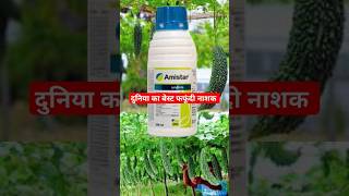 amistar fungicide  azoxystrobin 23 sc  drpunitshishodia kheti [upl. by Ringler]