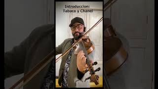 TABACO Y CHANEL INTRODUCCION violin violinist basilos tutorial shorts viral violinteacher [upl. by Rex]