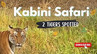 Kabini bus safari  Kabini forest  Nagerhole Tiger reserve [upl. by Iblehs177]