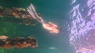 busselton jetty freediving western australia [upl. by Ahsatal639]