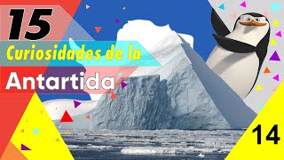 15 Curiosidades De La Antártida  que te dejaran helado [upl. by Ive286]