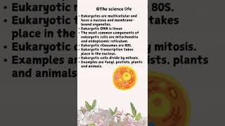 Prokaryotes VS Eukaryotes Whats the differenceprokaryotes eukaryotes shorts [upl. by Oluas]