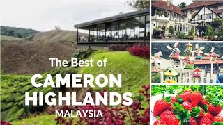 THE best of Cameron Highlands Malaysia [upl. by Doreg659]